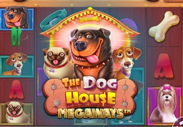 Игра The Dog House Megaways в Олимп казино